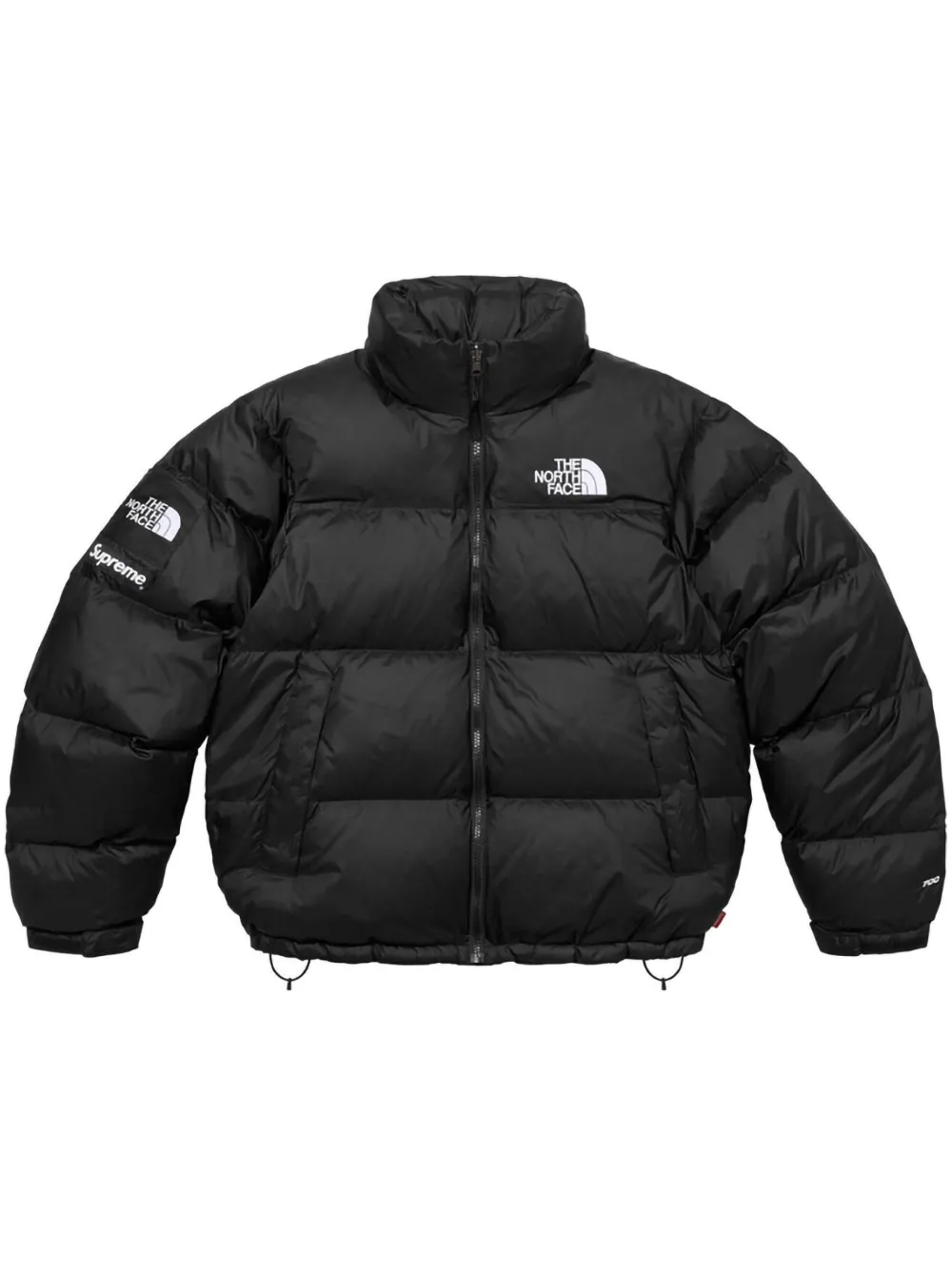 Supreme x The North Face Puffer Nuptse 700