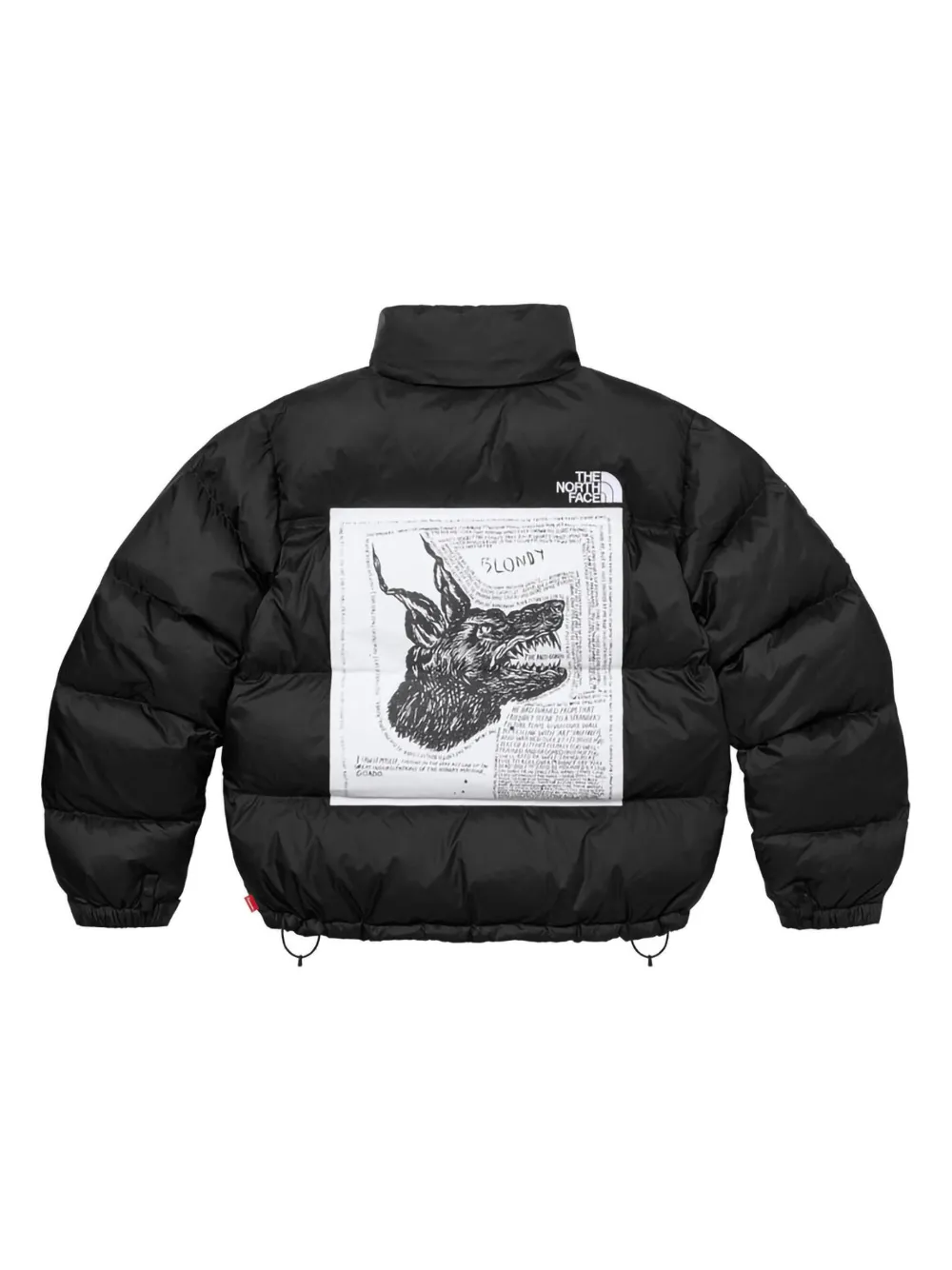 Supreme x The North Face Puffer Nuptse 700