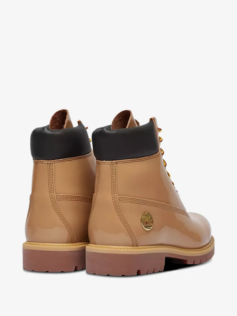 Timberland 6 Rig
