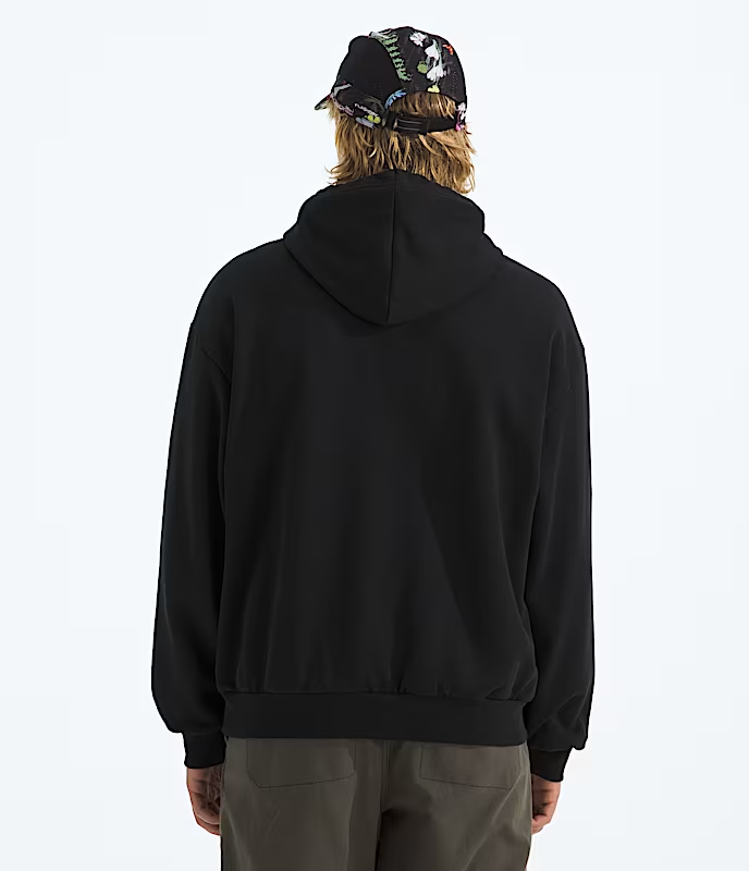 The North Face Hoodie Evolution Simple Dome