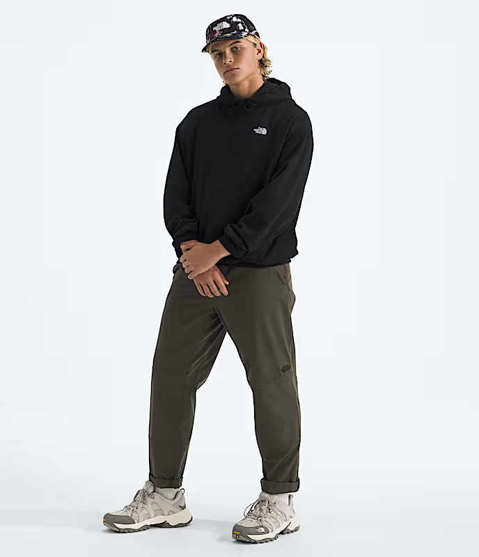 The North Face Hoodie Evolution Simple Dome