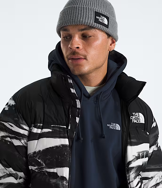 The North Face Hoodie Evolution ´Simple Dome´