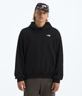 The North Face Hoodie Evolution Simple Dome